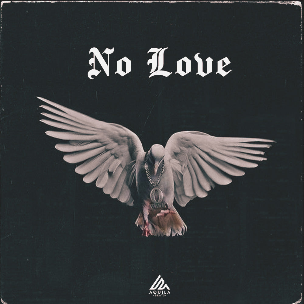 No Love - Rod Wave Sample Pack (Polo G, NoCap, Yungeen Ace)